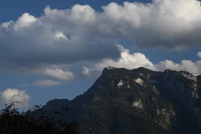 DSC_6053 (Large).JPG